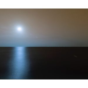Andre Lichtenberg - photo - Bronze & Green