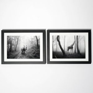 Frank Machalowski - photos - Tierwald