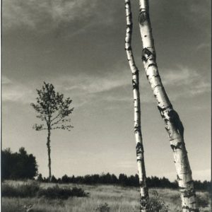 Maurice Broquet - photographie Deux compagnons