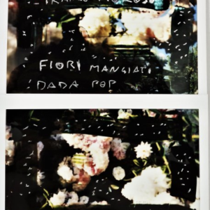 Maurizio Galimberti - photo - BiFlowers - 10775