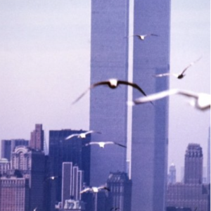 Pierre Houles - Phtot - NYC